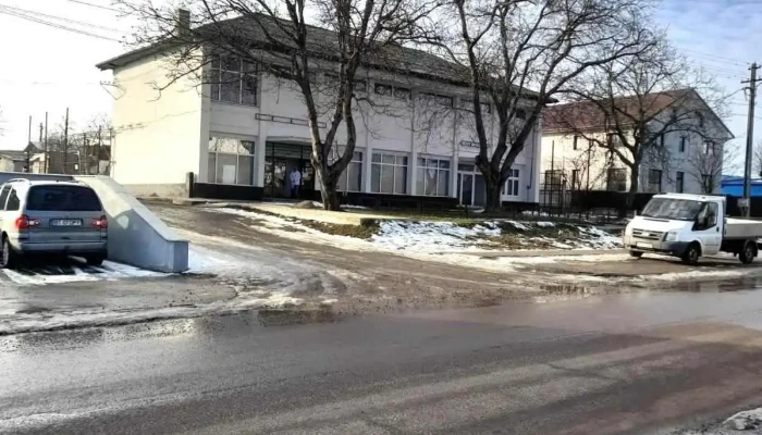 Primăria Coțușca - România