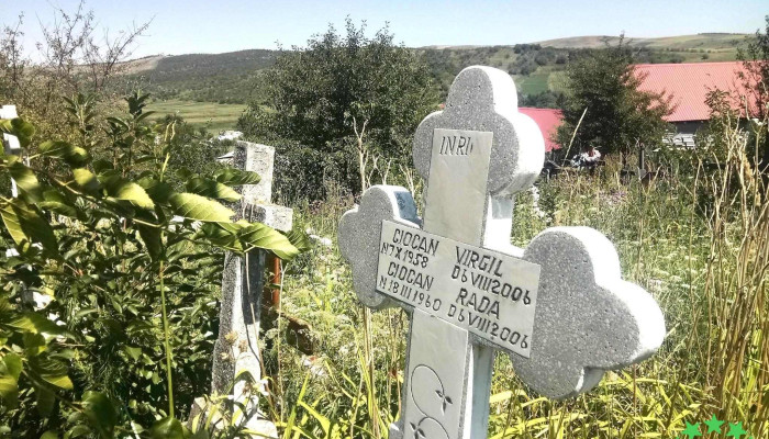 Primăria Plopana - Com. Plopana