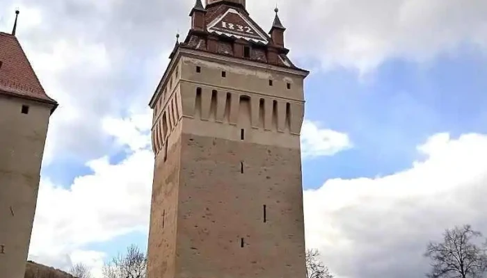 Primăria Saschiz - Saschiz
