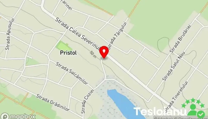 hartă a Pristol  în Pristol