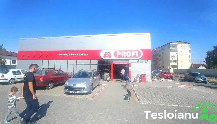 Profi - Videle 145300
