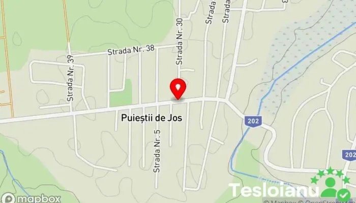hartă a Puieștii de Jos  în Puieștii de Jos