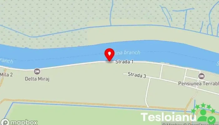 Punct gastronomic local Foișorul Pescăresc Anca și Eugen - Sulina 825400