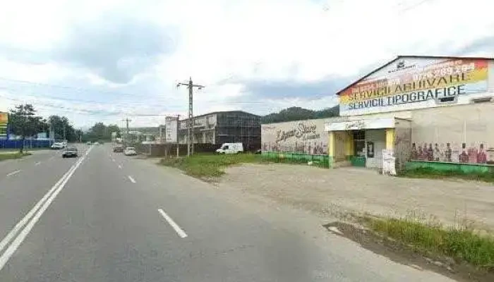 Punct Pentru Inspectie Tehnica Scor - Petroșani