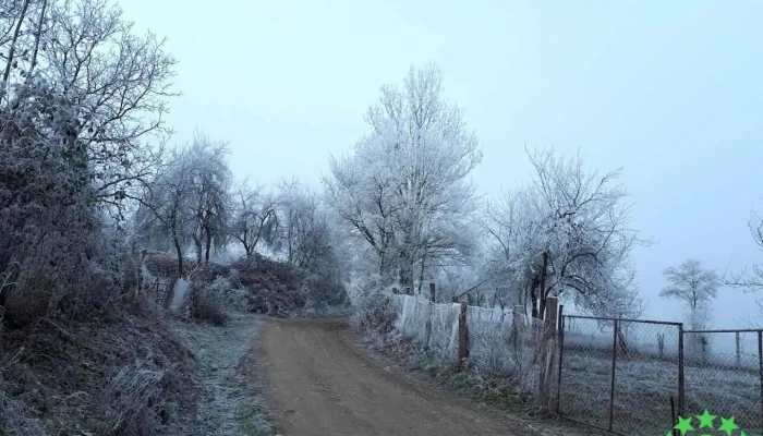 Punctul fosilifer Lăpugiu de Sus - Romania