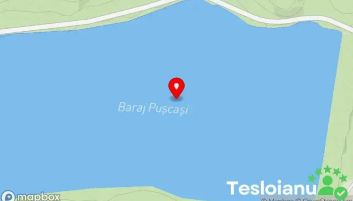 hartă a Pușcași Lac în 
