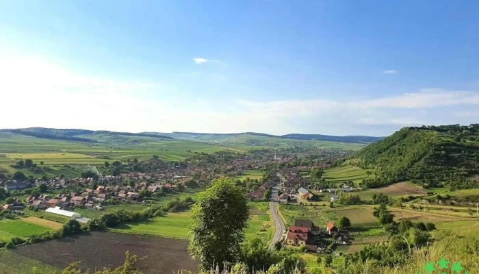 Pănet - Pănet