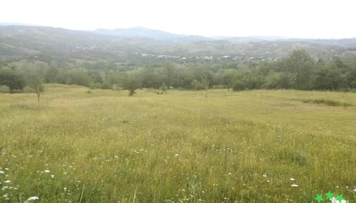 Păulești - Păulești