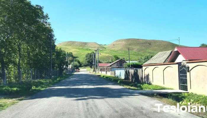 Racaciuni - România
