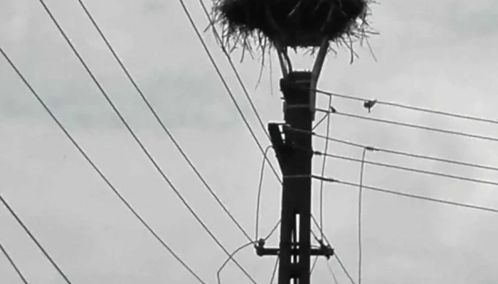 Radesti Fotografii - Rădești