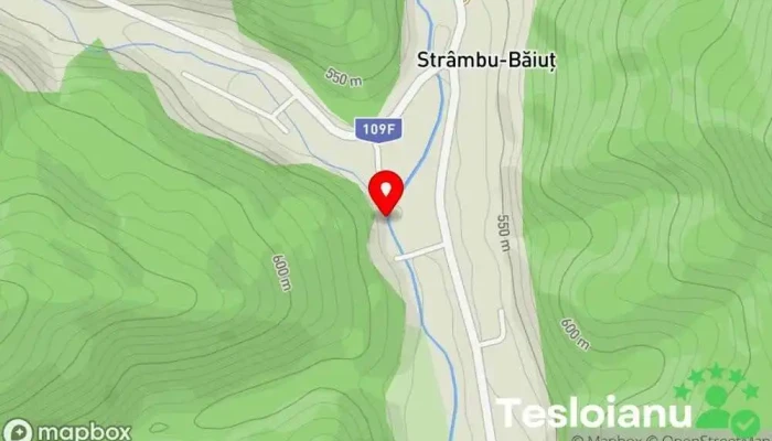 hartă a Râul Strâmbu-Băiuţ Râu în Strâmbu-Băiuț