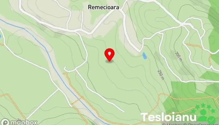 hartă a Remecioara  în Remecioara