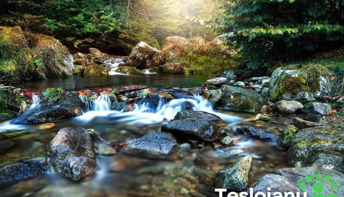 Remeti Aproape De Mine - Remeți