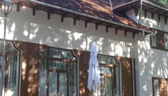 Restaurant Laleaua -  Fotografii - Băile Tușnad