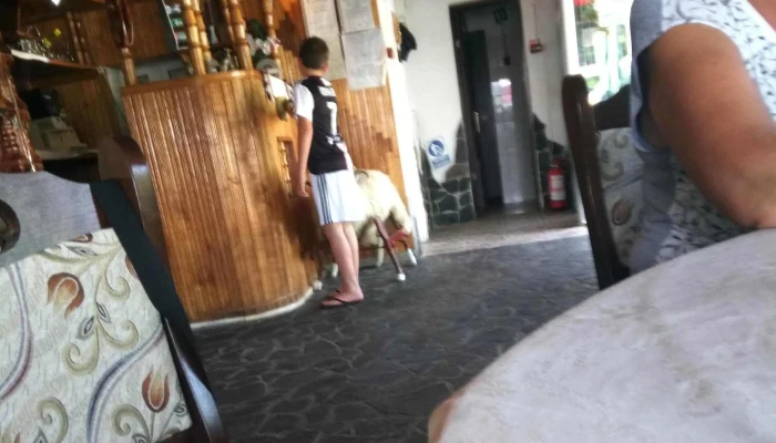 Roata Lui Mitica -  Locație - Certeze
