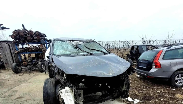 Roby Alex Auto Srl -  Program - Fântâna Mare