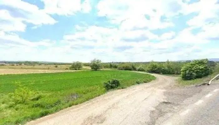 Roby Alex Auto Srl -  Street View Si 360deg - Fântâna Mare