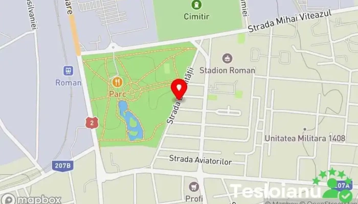 hartă a Roman  în Roman
