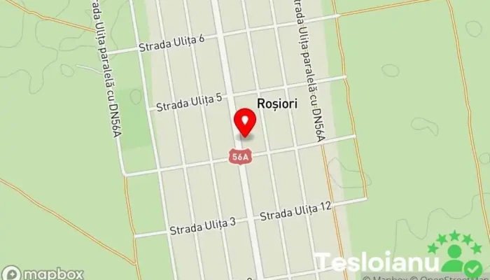 hartă a Roşiori  în Roşiori