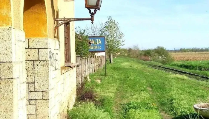 Sabisa Recenzii - Săbișa