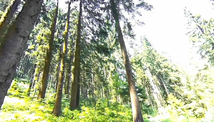 Sacele Street View Si 360deg - Săcele
