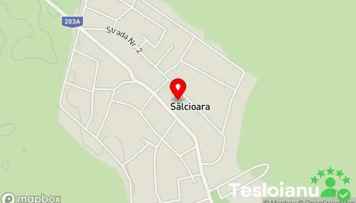 hartă a Sălcioara  în Sălcioara
