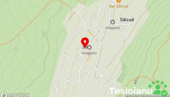 hartă a Sălcud  în Sălcud