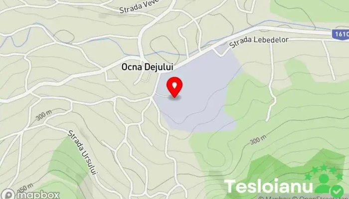 hartă a Salina Ocna Dej Mină, Companie în Dej