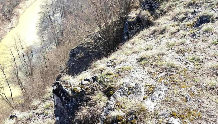 Salnita Promoție - Sălnița