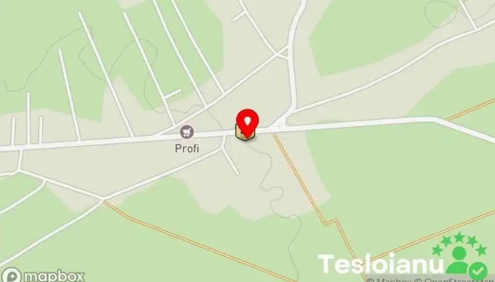 hartă a Salon Auto Bucovina Service auto în Horodnic de Sus
