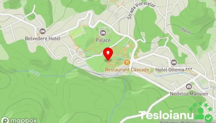 hartă a Sanatoriul Băile Govora Sanatoriu particular în Prajila