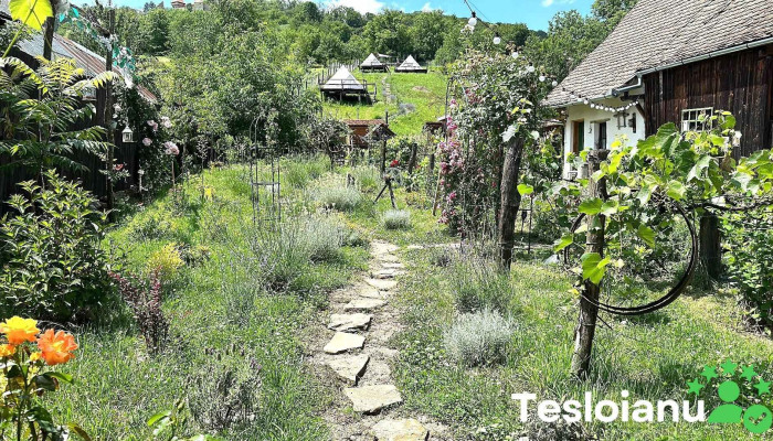 Saschiz 130/Lodging and Glamping - Saschiz