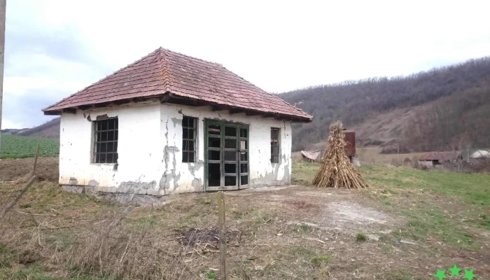 Sausa Locație - Şăuşa