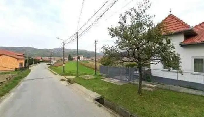 Savu Ligia Estela -  Zonă - Str. Principala, 390, Com. Sasciori, Alba