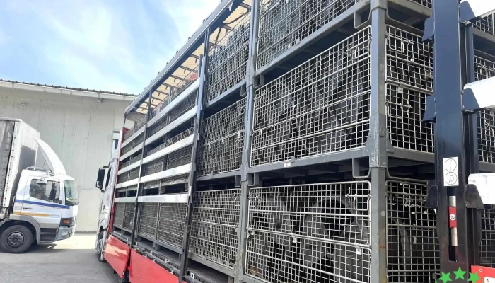 Sc Alc Inject Polistiren Srl - Retevoiești 117526