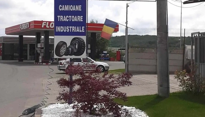 Sc Auto Ali Service 2004 - Calea Clujului