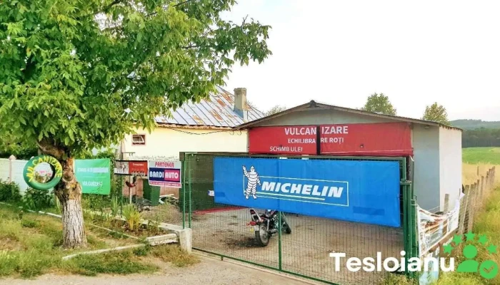 Sc Deea Si Alex Market Servicii Srl -  De La Proprietar - Bătăşani