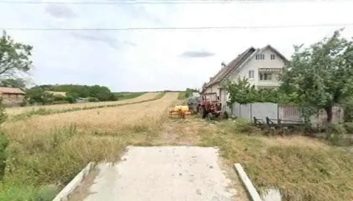 Sc Deea Si Alex Market Servicii Srl -  Program - Bătăşani