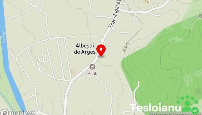 hartă a SC FREE CAR EXPERT - service auto Service auto în Albeștii Pământeni