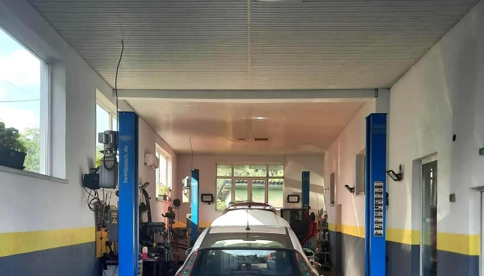 Sc Free Car Expert -    Service Auto Site Web - Albeștii Pământeni