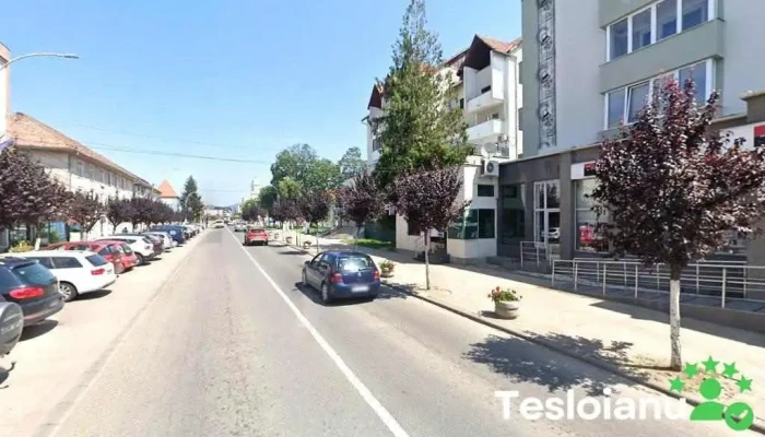 Sc Riviera Expres Srl - Negrești-Oaș 445200