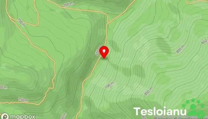 hartă a SC STUR SRL , Cariera de piatra BLIDARI Carieră în Blidari
