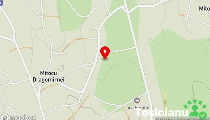 Scoala Gimnaziala Mitocu Dragomirnei - Mitocu Dragomirnei
