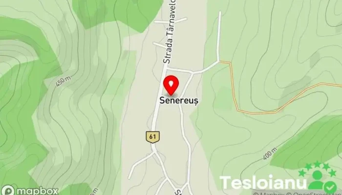 hartă a Senereuş  în Senereuş