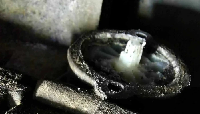 Service Auto Eurocars -  Aproape De Mine - Suceava