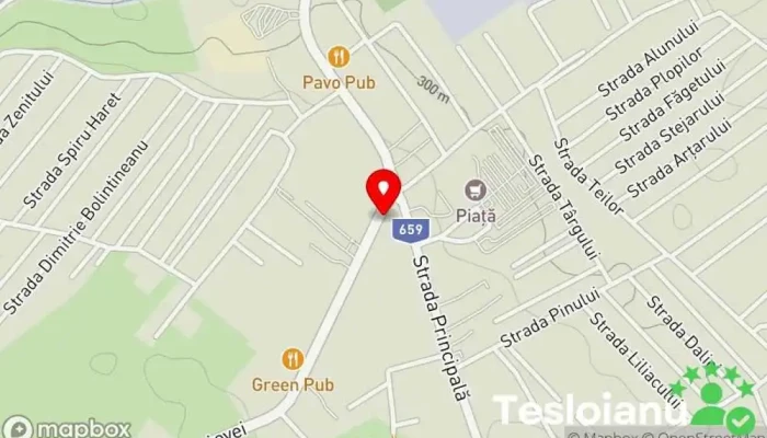 hartă a Service auto Atelier de reparații auto în Geamăna