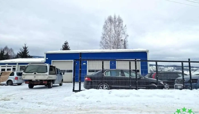 Service auto Neagra Sarului - Neagra Șarului