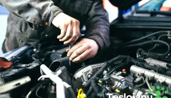 Service Auto Oradea - Activ Service - Oradea 410172