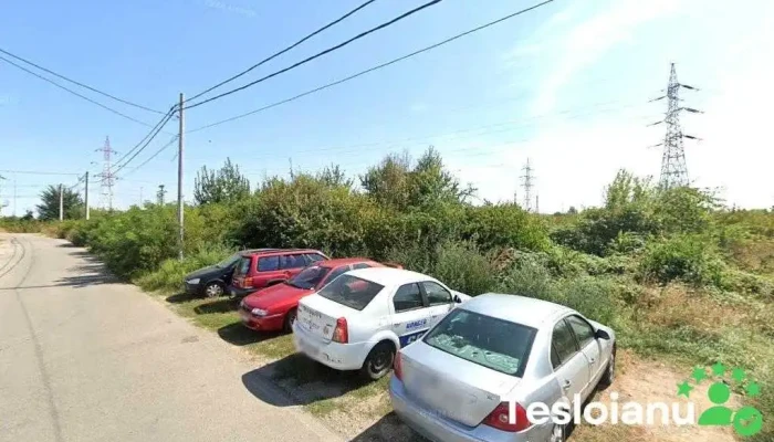 Service Auto - România
