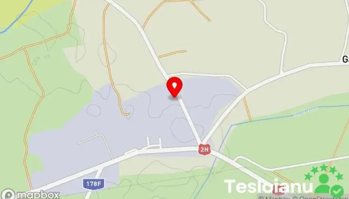 hartă a Service Auto SC VIOVAS SRL Atelier de reparații auto în Gălănești